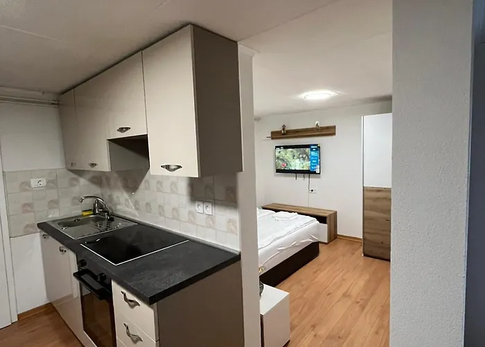 Apartment Stanojkov 2 *